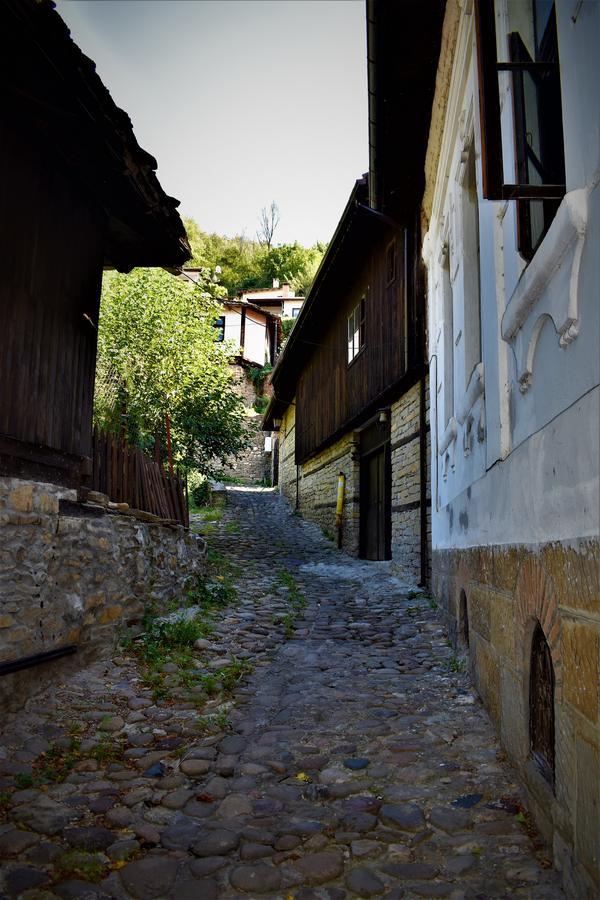 Hotel Bilyana Lovech Exteriör bild
